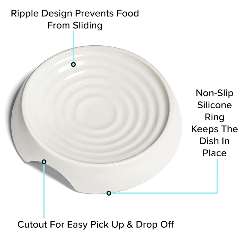 CatGuru Cat Bowls, Whisker Stress Free Cat Food Bowl, Reliefs Whisker Fatigue, Wide Cat Bowl, Non Slip Cat Food Bowls, Shallow Cat Dish, Cat Feeding & Watering Supplies (Ceramic, White) 1 Count (Pack of 1) white us - PawsPlanet Australia