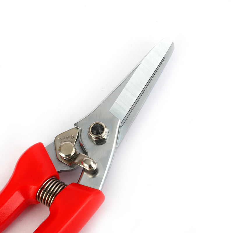 goat hoof trimmers with Mini Hoof rasp File (8-inch) - Nail Clippers for goat Sheep, Alpaca, Lamb, Pig -hoof rasp file - goat nippers - hoof trimmers - Hoof rasp file - PawsPlanet Australia