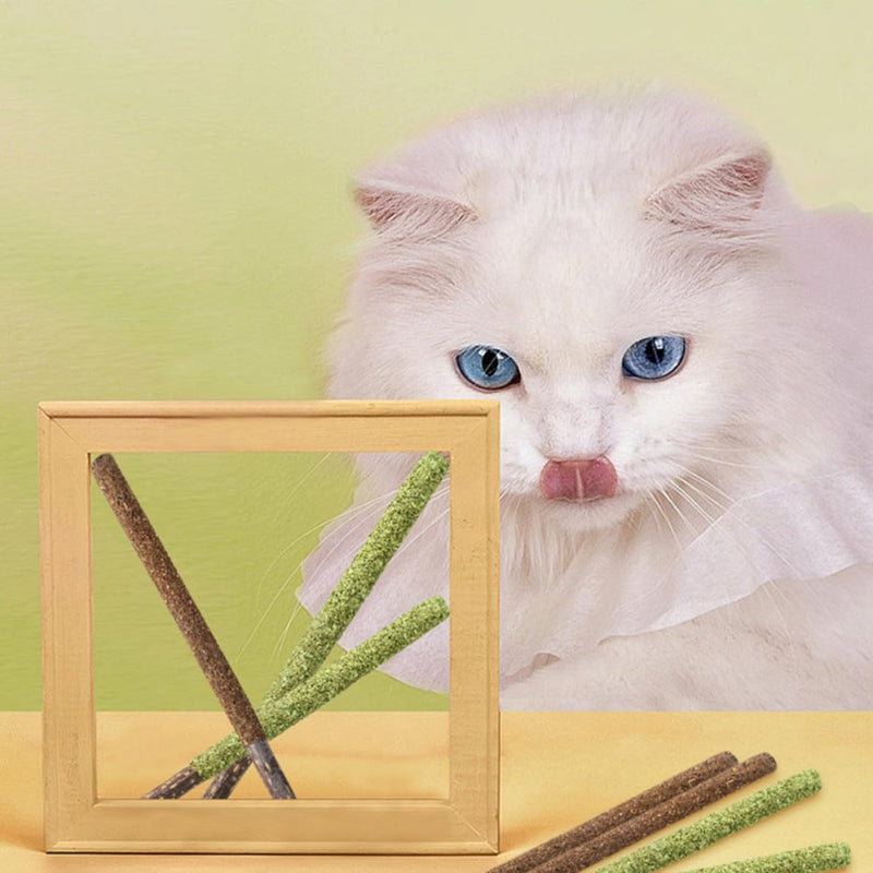 CLISPEED Cat Licking Sticks for Dental Cleaning and Care made from Catnip and Gall Fruit, 12 Pieces, for Indoor Use at Home