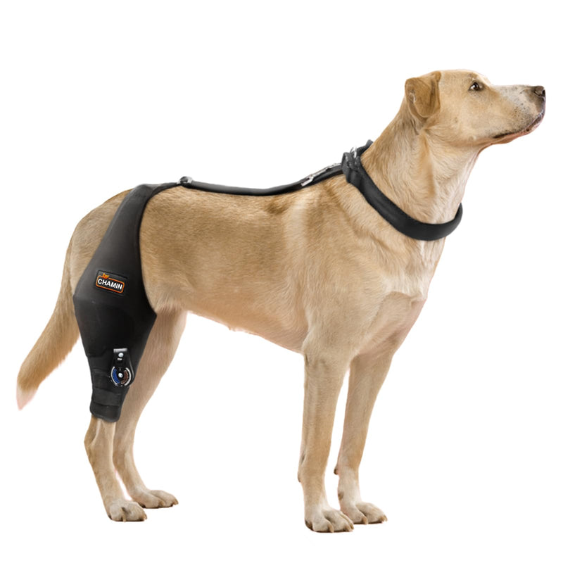 CHAMIN Adjustable Dog Knee Brace for Torn ACL Hind Leg, Support for Tear Ligament, Osteoarthritis, Rear Leg Limp, Recovery After Surgery,et(Right Leg,XL) Right Leg XL