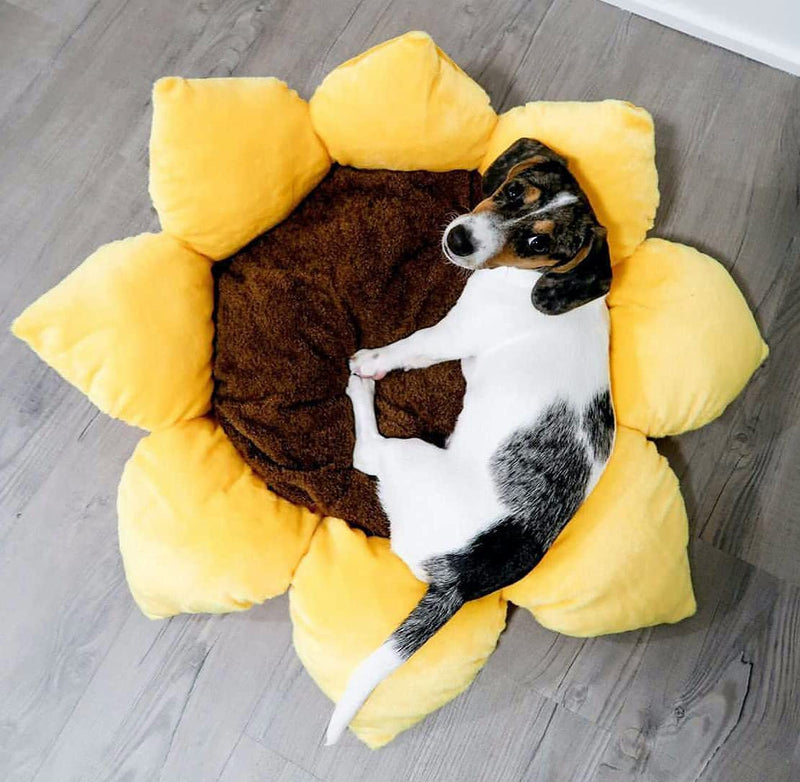 TONBO Soft Plush Small Cute and Cozy Nature Dog Cat Bed, Washer and Dryer Friendly (Sunflower) Sunflower - PawsPlanet Australia
