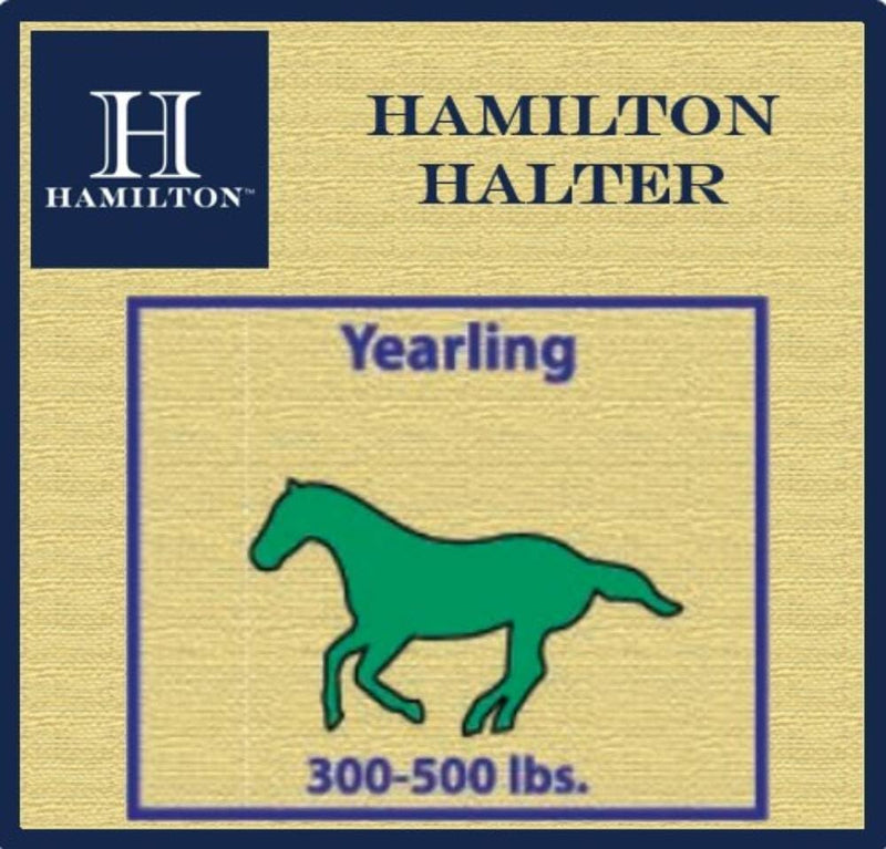 Hamilton Deluxe Horse Halter, 1" Triple Ply Nylon, Yearling or Standard Donkey, 300-500 lbs, Dark Green Yearling, 300-500lbs - PawsPlanet Australia