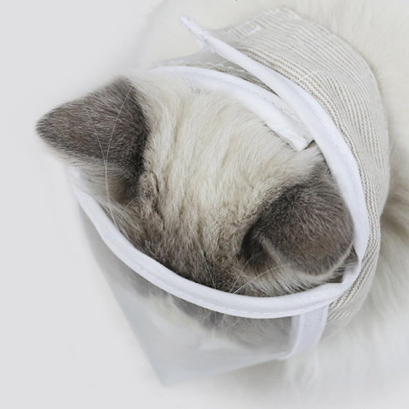 Transparent cat muzzle headgear, breathable, made of plastic, with a 20-25cm head circumference and easy to store, for the care of kittens and cats