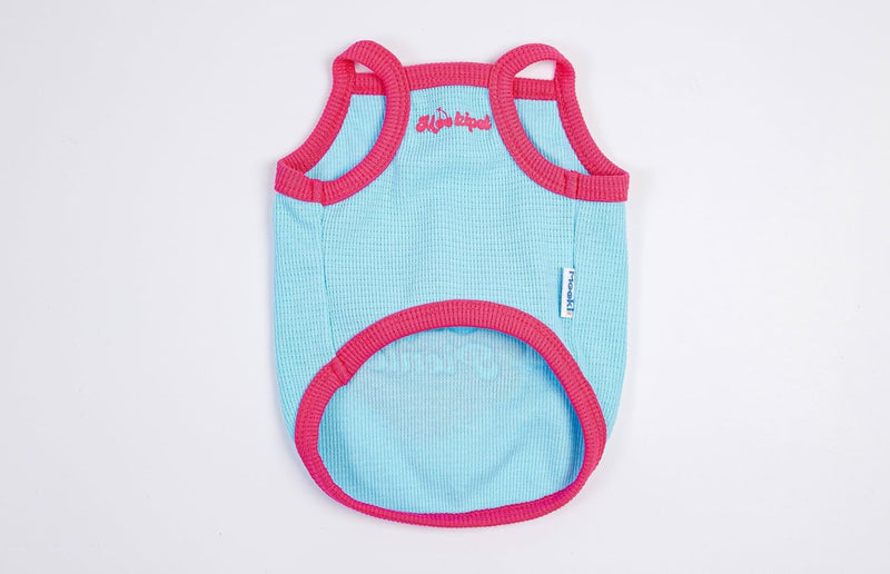 Dog Sleeveless Knit Vest.Perfect for Small/Medium Male and Female Dogs and Cats. Rocking a Cute, All-American Sweetheart Vibe. Colors: Blue and Yellow. (Blue, X-Small) - PawsPlanet Australia