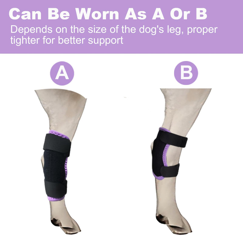 Dog Leg Brace for Back Leg Rear Leg Hock Ankle, Dog Hip Brace for Sprains, Torn Ligaments and Post-Op, Strong Support Help, Lightweight, Promotes Faster Recovery and Reduce Pain, 1 Pair, Large Violet - PawsPlanet Australia