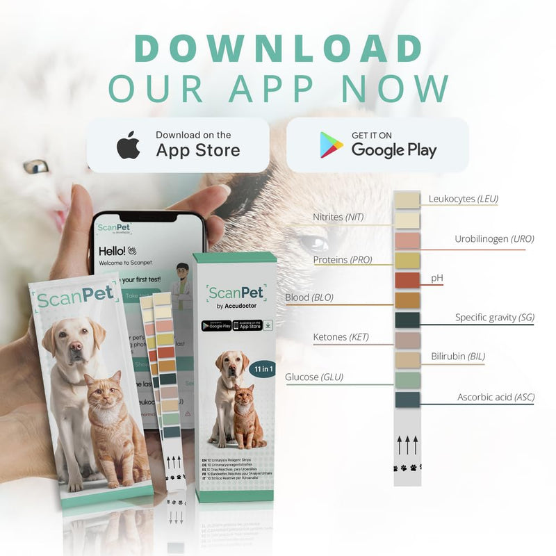 (10 Strips) SCANPET APP Urine Test for Cats and Dogs 11 Parameter Strips Urine Infection Strips for Dogs and Cats - Individually Wrapped - Glucose pH Protein Ketones Strips