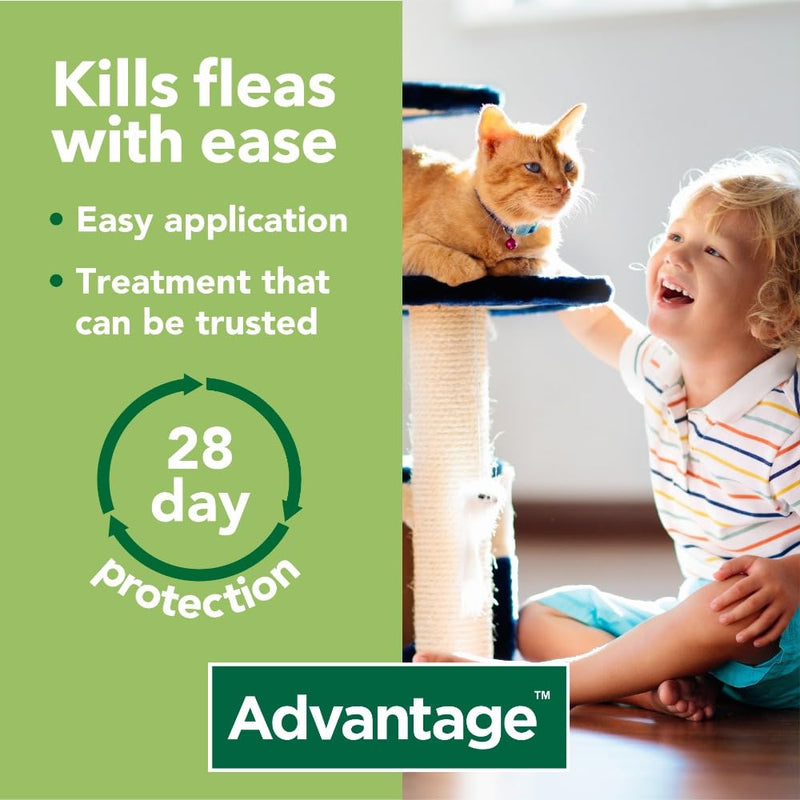 Advantage 40 Flea Spot On Treatment For Dogs, Cats & Rabbits 1 Pipette 0.4ml <4kg - PawsPlanet Australia