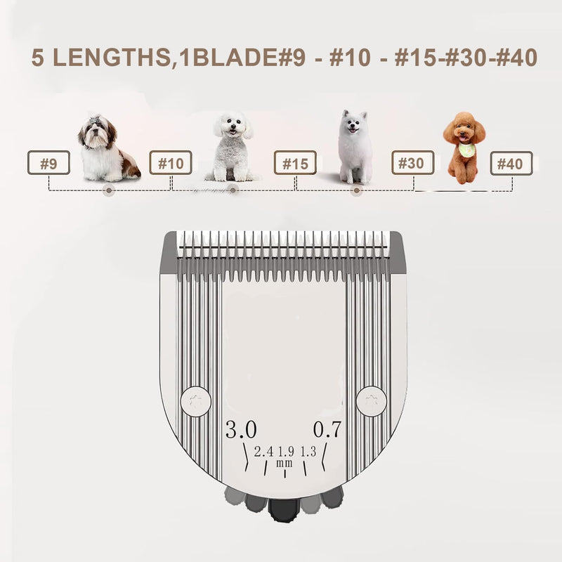 Audoc 5 in 1 Blades Adjustable Dog Grooming Replacement Blades Compatible with Wahl Animal Clipper Arco, Bravura, Chromado, Creativa, Figura, and Motion Pet, Dog, and Horse (Silver/3PC) GOLD/3PC - PawsPlanet Australia
