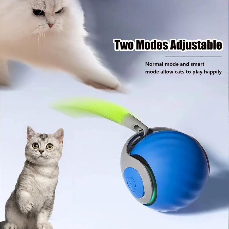 Speedy Tail 2.0,Speedy Tail Cat Toy,2025 New Generation Interactive Cat Toy,Interactive Cat Toys for Indoor Cats,Smart Interactive Cat Toy Ball,Automatic Moving Cat Toy Ball with Tail (Blue) Blue - PawsPlanet Australia
