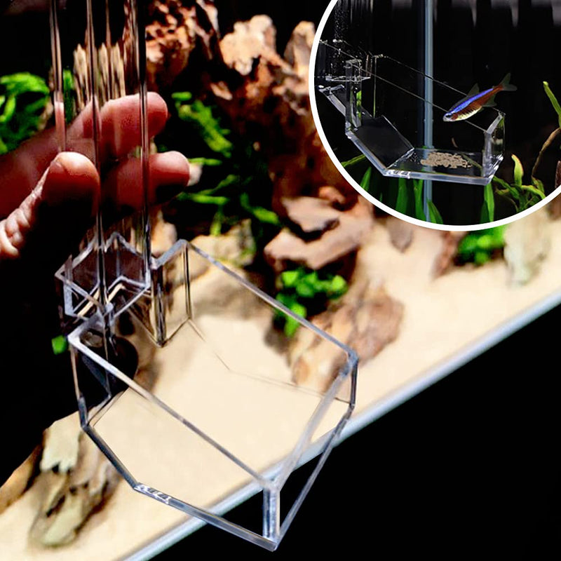 Shrimp Fish Feeding Dish, Aquarium -Sky Restaurant- Betta Feeding - Prevent Food Spilling, Fish Feeder, Also Easy to Clean Up The Food Left Over, African Feeding, Dwarf Frogs Feeding S - PawsPlanet Australia