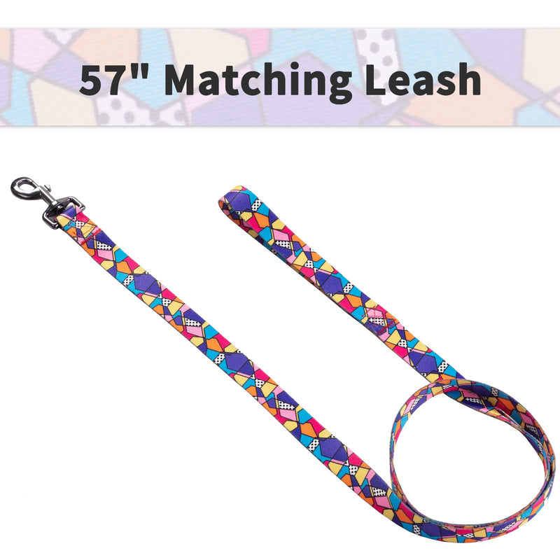 Ihoming Puppy Collar and Leash Set for Daily Outdoor Walking Running Training, Geometric Design for Extra Small Boys Girls Dogs Cats Pets, XS-Up to 10LBS C-Geometric X-Small (Pack of 1)