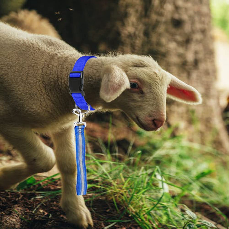 4 Pieces Goat Lead and Goat Collars Set, Nylon 11 inch Goat Lead with Reflective Strip Design and Nylon Goat Collar for Small Farm Animal Goat Cow Horse Sheep (Blue) Blue - PawsPlanet Australia