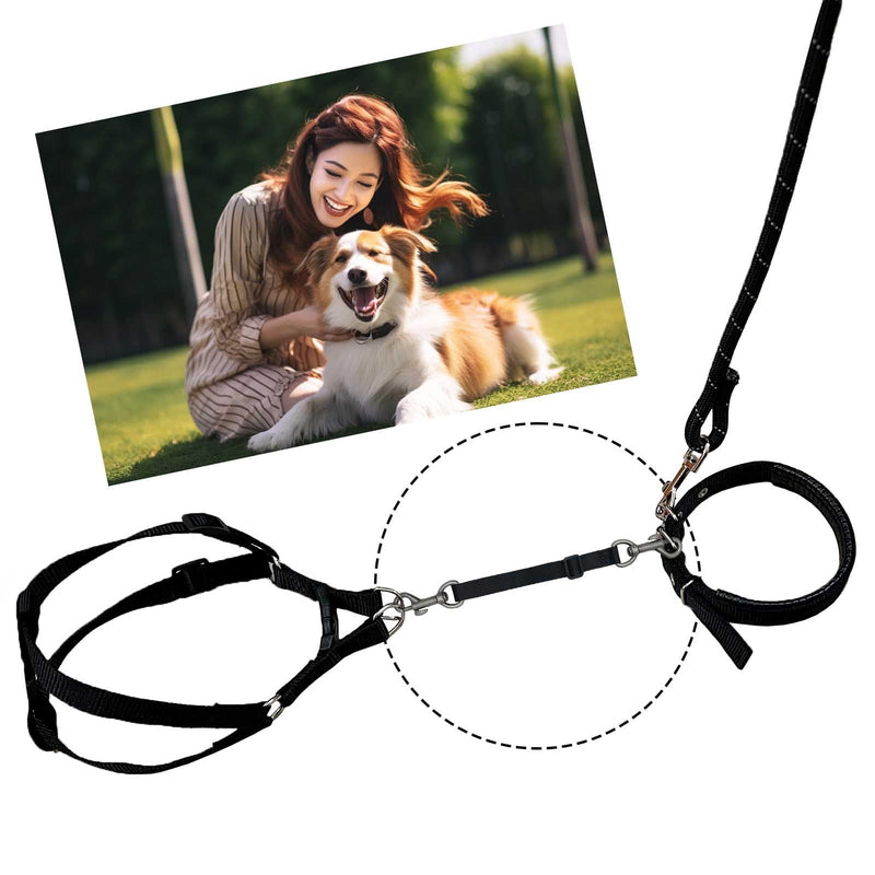 Dog Collar Safety Clip, Prong Collar Backup Clips with Dual Clasps,Double Ended Backup Clasp,Harness Collar Connectors Medium - PawsPlanet Australia