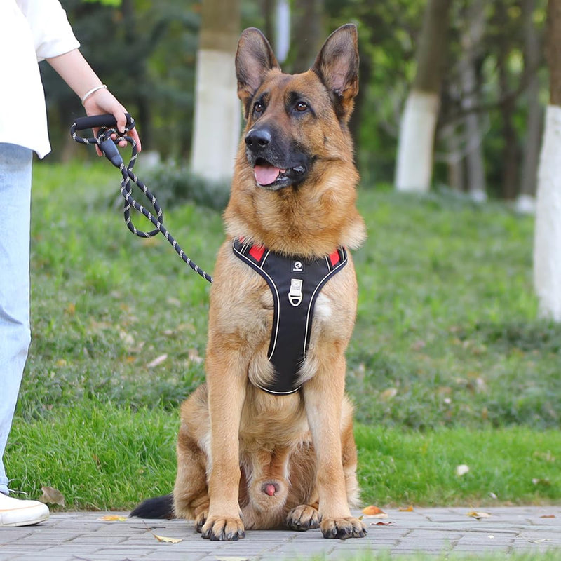Dog Harness with Handle Tactical Large,No Pull Adjustable Reflective Military Dogs Vest for Labrador Retriever,Husky, German Shepherd Dog (Black/Red, Large) Black/Red - PawsPlanet Australia