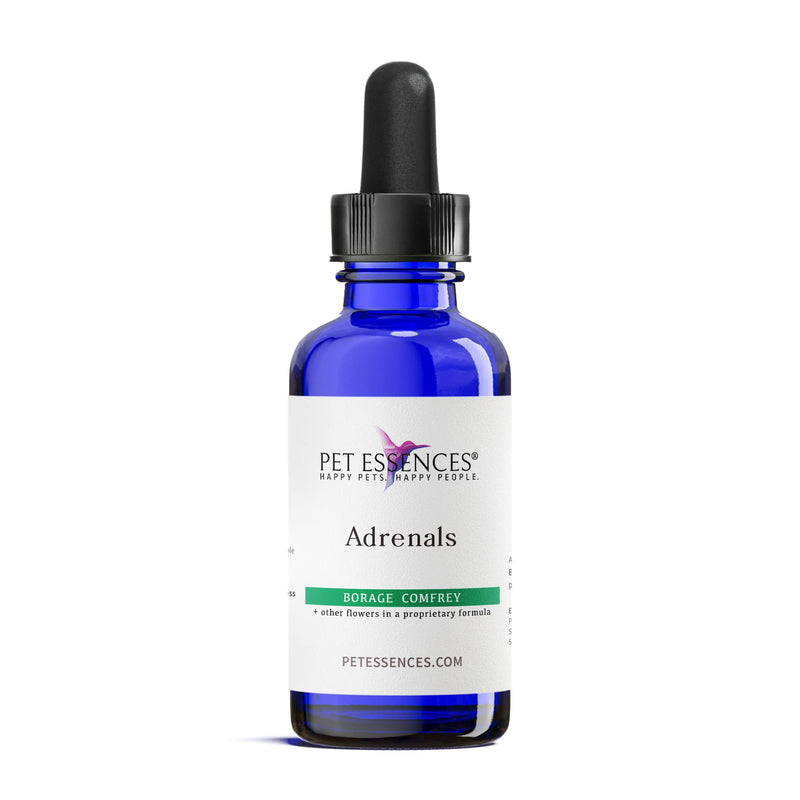 Adrenals Formula for Dogs, Cats and Horses