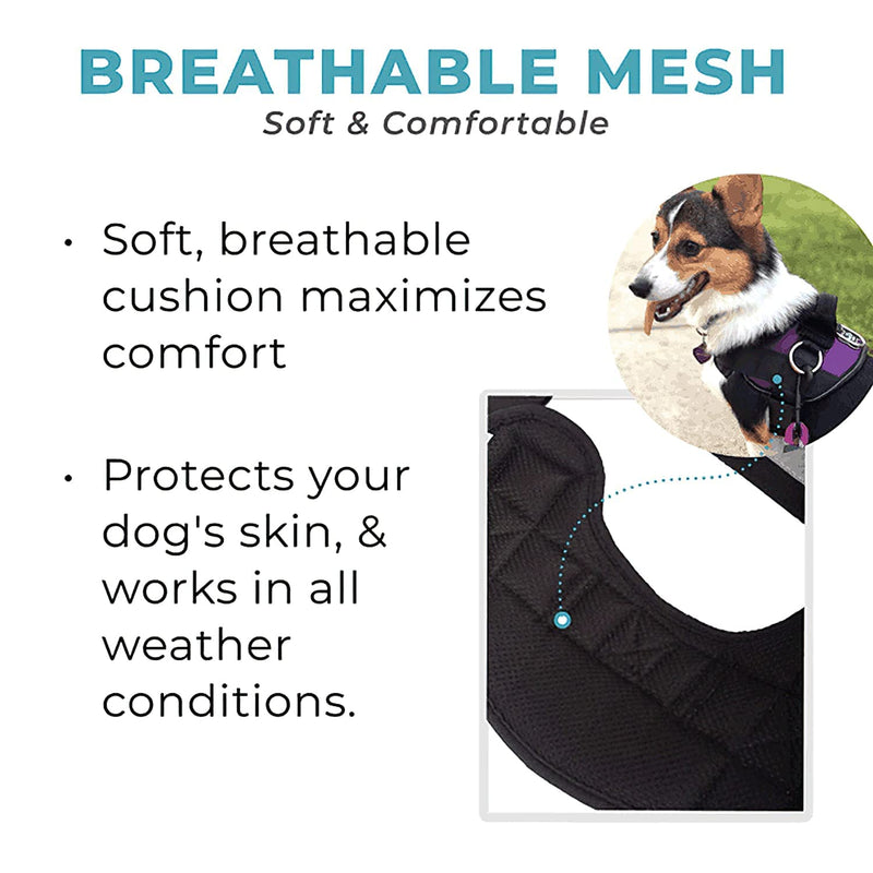 Joyride Harness for Small, Medium, Large Dogs, No-Pull Pet Harness with 3 Side Rings for Leash Placement, Adjustable Soft-Padded Vest for Training, Walking, Running, No-Choke with Easy On-Off Technology S Fall Plaid - PawsPlanet Australia