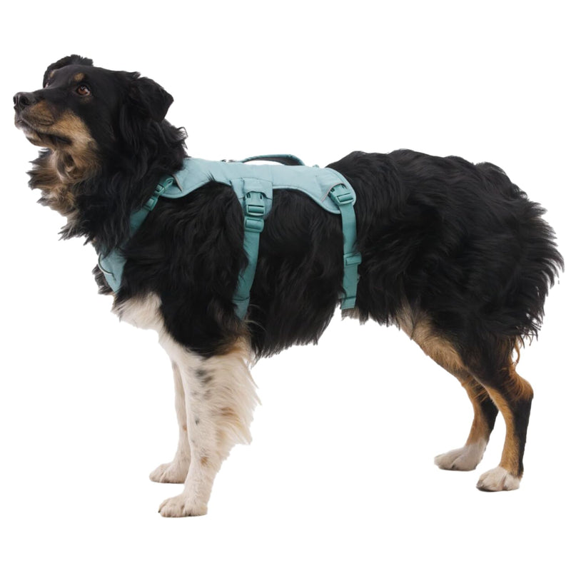Ruffwear, Web Master, Multi-Use Support Dog Harness, Hiking and Trail Running, Service and Working, Everyday Wear, River Rock Green, Medium - PawsPlanet Australia