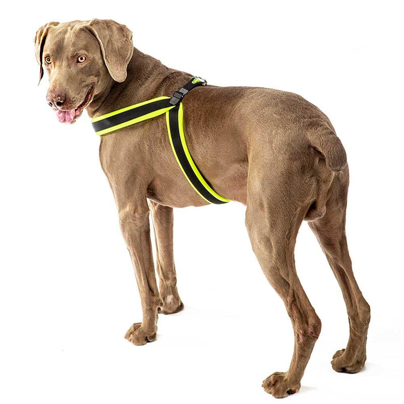 Ferplast Harness for Large Dogs AGILA FLUO 7 Dog Harness with Soft Padding, Quick Release and Attachment System, Chest Size 63-71 cm. Yellow Size 7 - PawsPlanet Australia