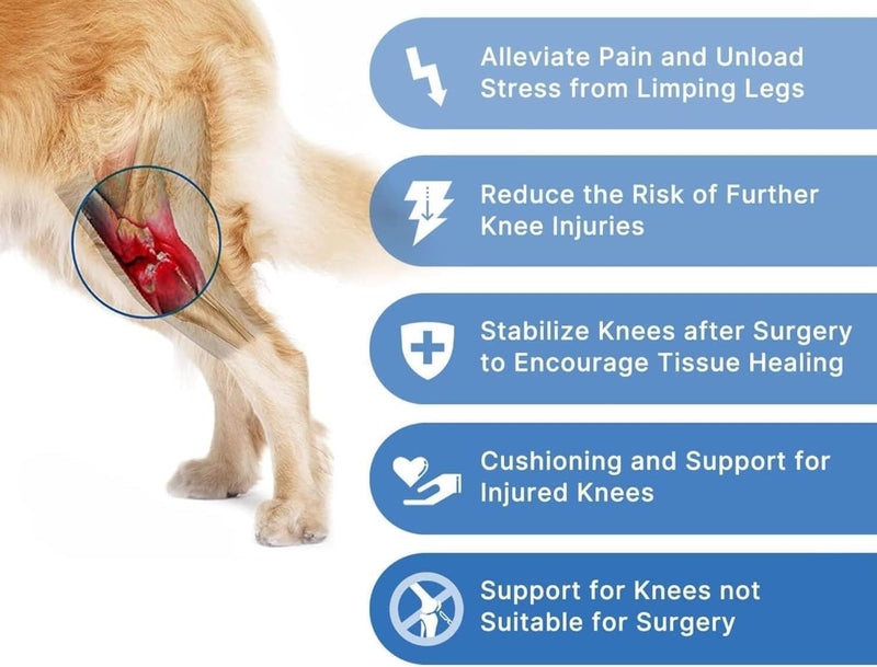 MASBRILL Dog Knee Brace, Adjustable Dog Brace Protector Pads for Back Leg,ACL Hind Leg Brace for Dog Cruciate Ligament Care Knee Brace for Dogs Rear Leg, Joint Pain and Muscle Sore S - PawsPlanet Australia