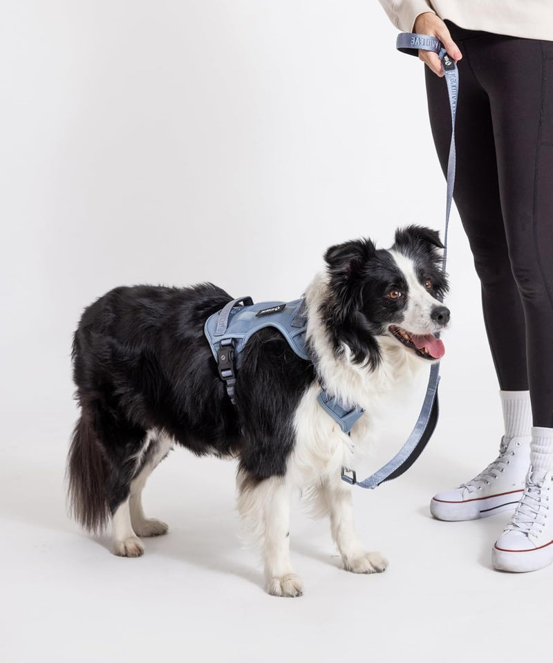 2026 New Edition, Fei & Eve MagEase Dog Harness - 3-Second Magnetic Buckles | 3-Point No-Pull Control | Heavy-Duty 900D Nylon | Dual Safety Handles | Breathable Mesh | Adjustable Fit | Medium, Blue Dusk Blue M - PawsPlanet Australia