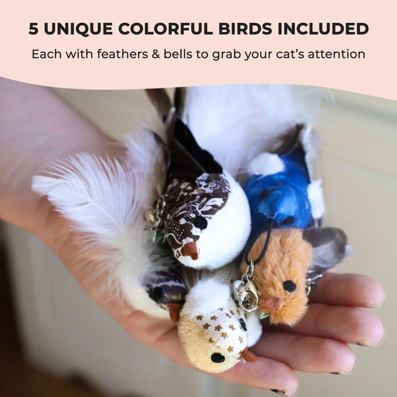 Interactive Bird Simulation Cat Toy Set, Interactive Cat Toys for Indoor Cats, Cat Feather Toy, Self-Holding Suction Base, 5 Replacement Birds, Feathers & Bells, Realistic Bird Impression Bird Toy Set With 5 Birds - PawsPlanet Australia