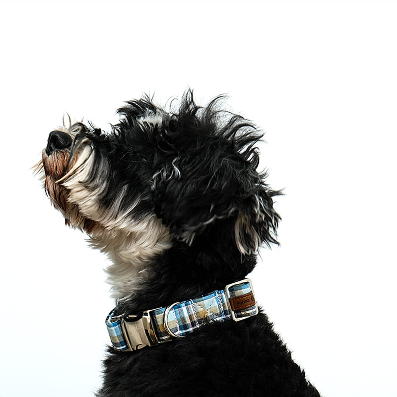 Lionet Paws Boy Dog Collar, Comfortable Adjustable Cute Blue Plaid Collar with Metal Buckle for Male Dogs, Small, Neck 10-16 inches Small (Pack of 1) LightBlue