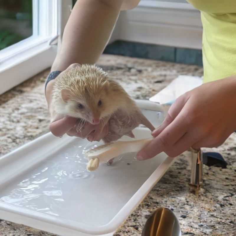 Snout and Shell Hedgehog Bath Supplies Kit - Soft Goat Hair Cleaning Brush - Perfect Hedgehog Grooming, Hygiene, and Care Essentials - Gentle Pet Bath Brush for Small Animals - PawsPlanet Australia