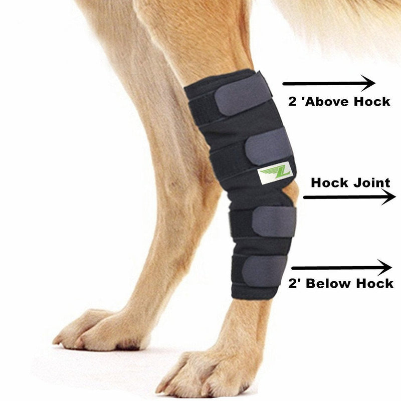 Joint Support for Your Dog's Hind Leg (M)