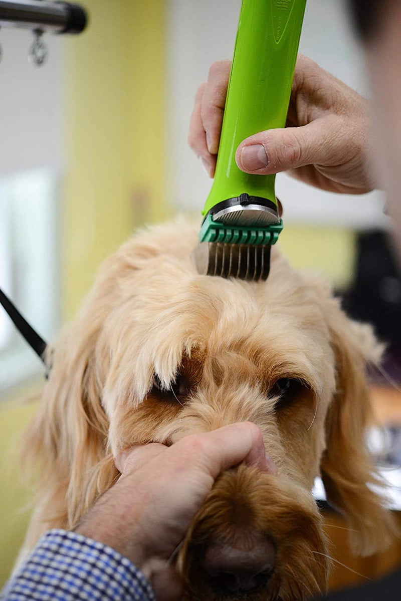 Stainless Steel Dog Grooming Attachment Guards Combs Sets Compatible with Arco,Bravura,Chromado,Figura,and Motion - PawsPlanet Australia