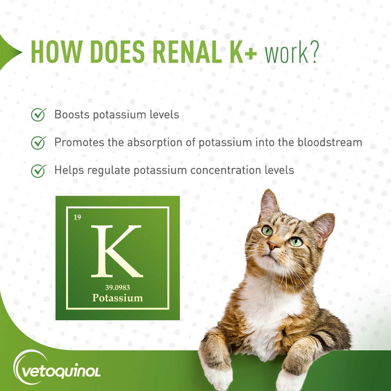 Vetoquinol Renal K+ (Potassium Gluconate) Potassium Supplement Powder for Dogs and Cats, 3.5oz - PawsPlanet Australia