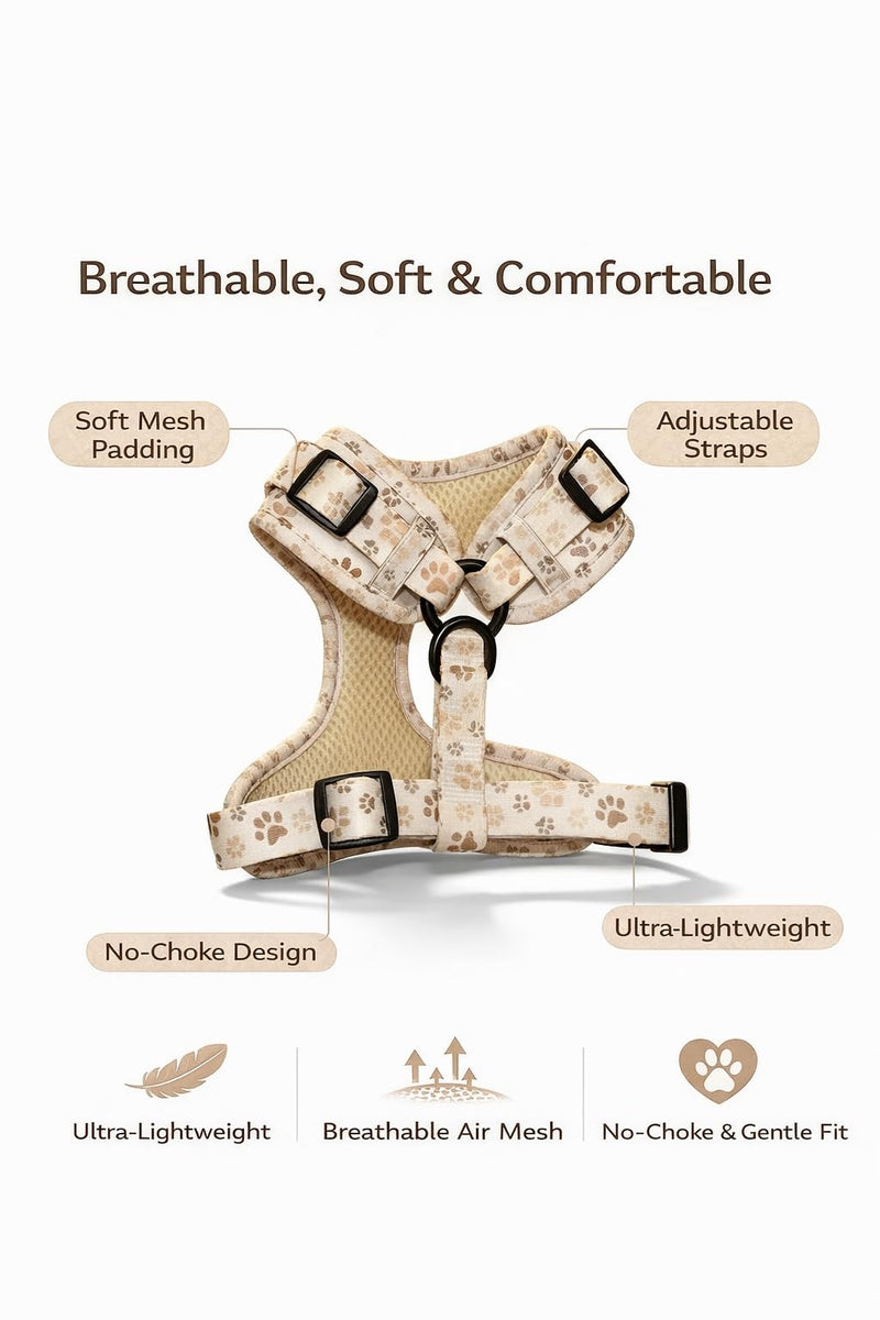 Dog Harness — Soft Adjustable Vest for Small Dogs & Cats, No-Choke, Breathable Mesh, Lightweight, Comfortable Pet Harness Paw Print Medium (12-22 Lb) - PawsPlanet Australia