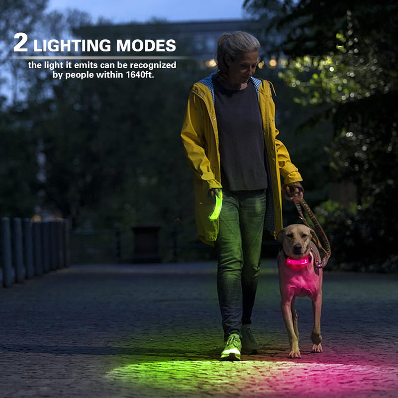 2 Pack LED Light for Dog Leash Harness, Light Up Dog Collar with Nylon Stickers, Waterproof Glow Light Easy to Attach to Collar Leash and Harness, Safety LED Light Up Band for Dogs at Night Walking Green+Blue - PawsPlanet Australia