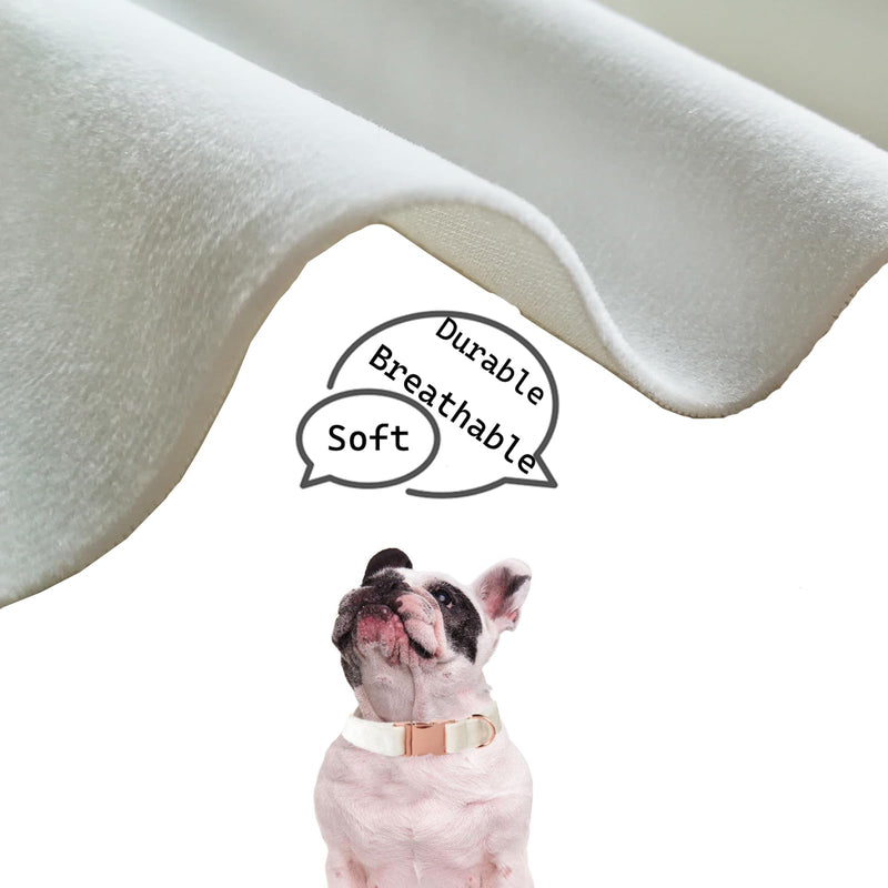 Velvet Dog Collar for Small Medium Dog, Durable Soft Velvet, White Green Orange Brown for Girl Boy, Adjustable Metal Buckle Puppy Collar Suitable for Running, Playing and Weddings. (Orange, XS) - PawsPlanet Australia