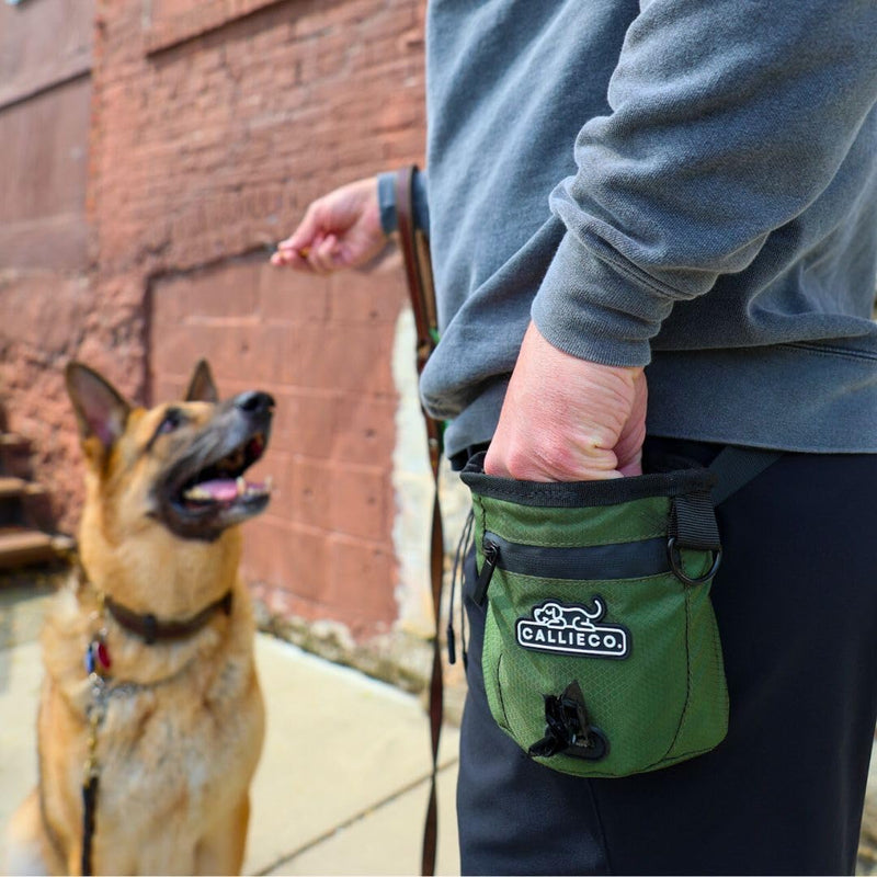 Callieco Mini Dog Treat Pouch with Magnetic & Zipper Closure | Small Waist Belt Training Behavior Aid Bag for Dog Walking with Poop Bag Dispenser (Green) Green - PawsPlanet Australia