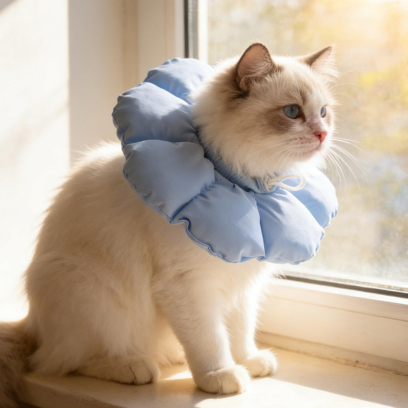 GALPADA Adjustable Bite-Resistant Donut Neck Collar for Cats and Small Dogs, Soft Recovery Collar for Wound Healing, Non-Slip and Lightweight