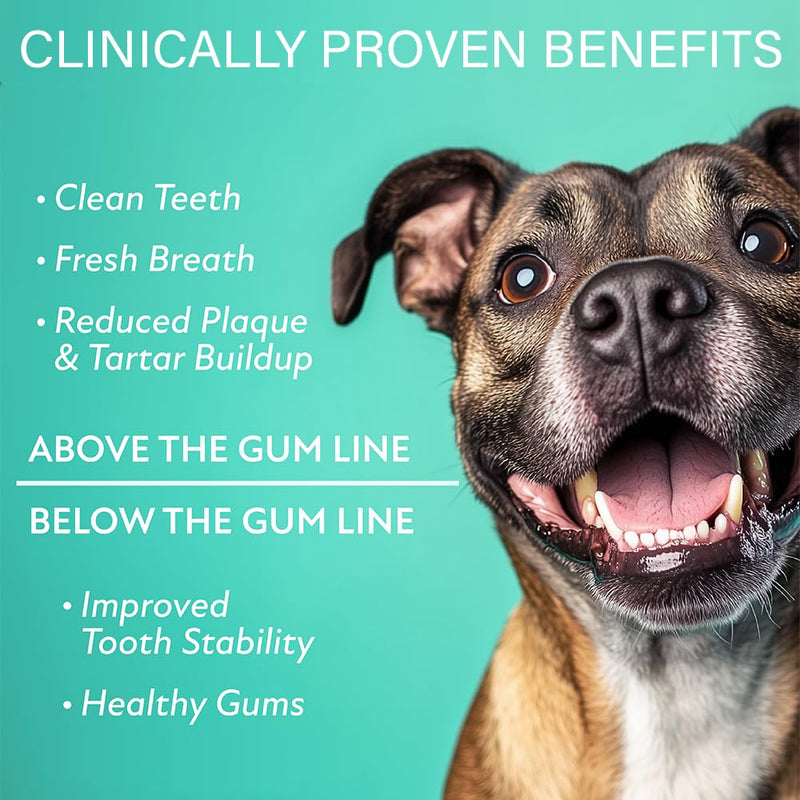 Dental Powder for Dogs Teeth Care, Complete Oral Care for Sm Dogs, Probiotic Food Topper for Extreme Bad Dog Breath (Sm Dog (Under 40 lbs)) Sm Dog (under 40 lbs) - PawsPlanet Australia