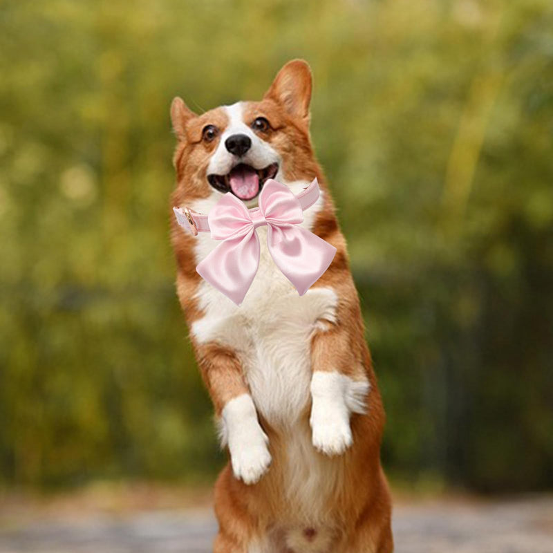 Adjustable Pet Collar Large Bow Knot for Training and Walking with Multiple Sizes Effective Elegant Adjustable Collar