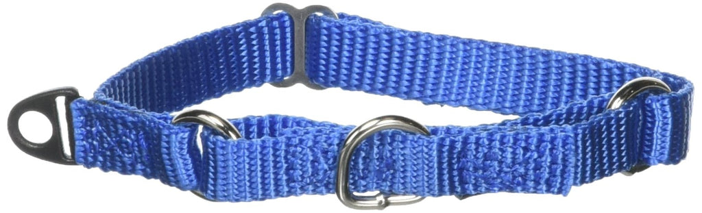 PetSafe Martingale Collar, 3/8" Petite, Royal Blue Petite (3/8" Width)