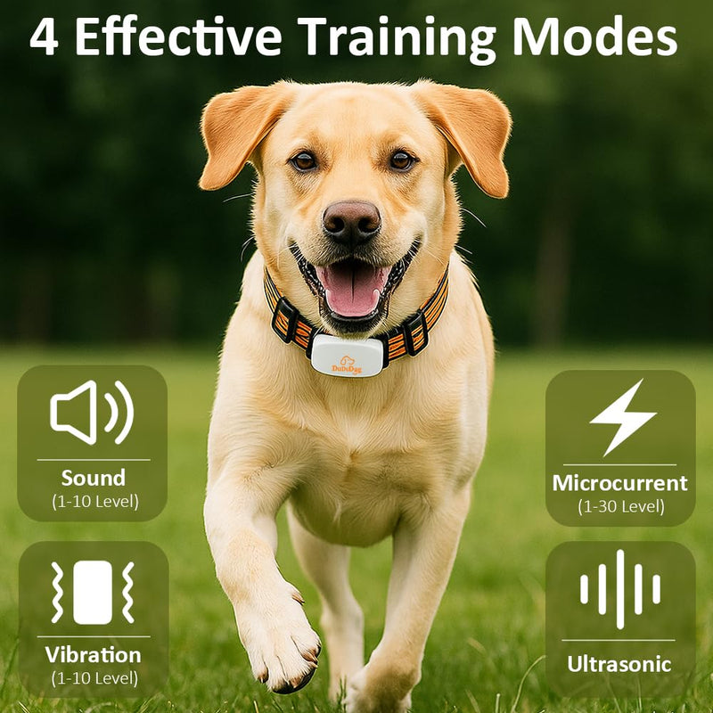 Dog Training Shock Collar for 2 Dogs with 9.8FT Retractable Leash – 3200FT Remote E-Collar for Dogs, Color Screen Display, Beep Vibration Static, IP67 Waterproof, USB-C Rechargeable (White, 2 Collars) White - PawsPlanet Australia
