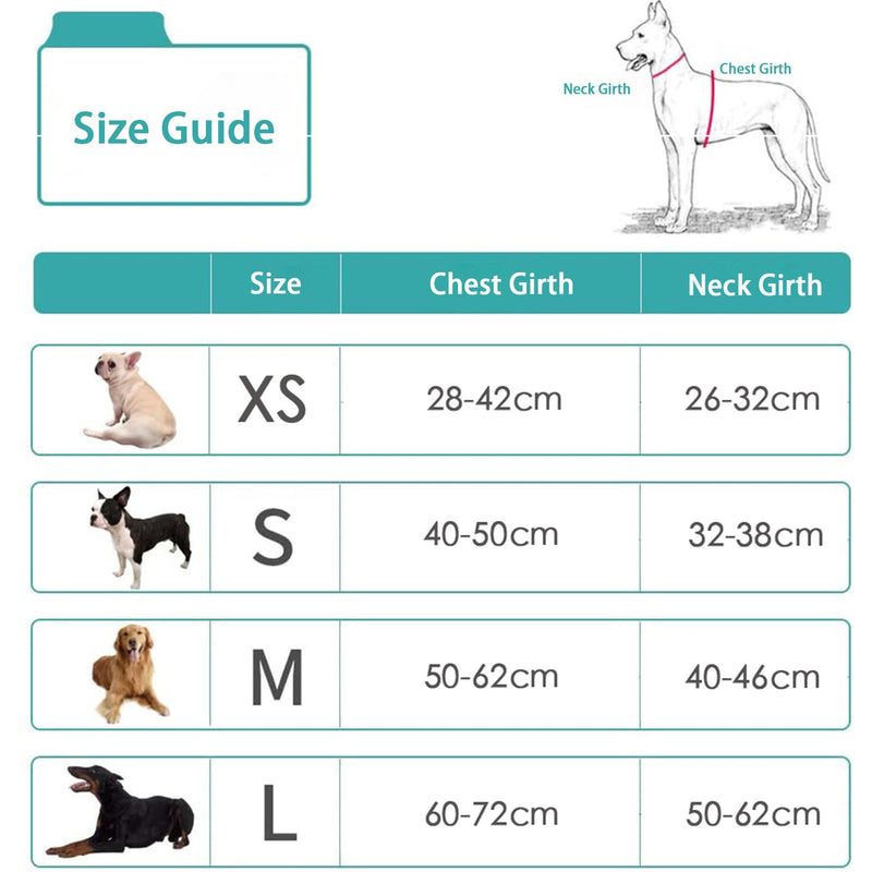 Dog Harness with Leash Set,No Pull Adjustable Vest Harness,Lightweight Easy Walk Dog & Cat Harness,Pet Harnesses Reflective for Puppy Small Medium and Large Dogs and Cats (Red, S) Red - PawsPlanet Australia