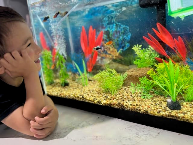Aquarium Stone for Natural Water Clarification and Odor Removal Featuring Beneficial Bacteria (Nano) 2 Pack Nano - PawsPlanet Australia