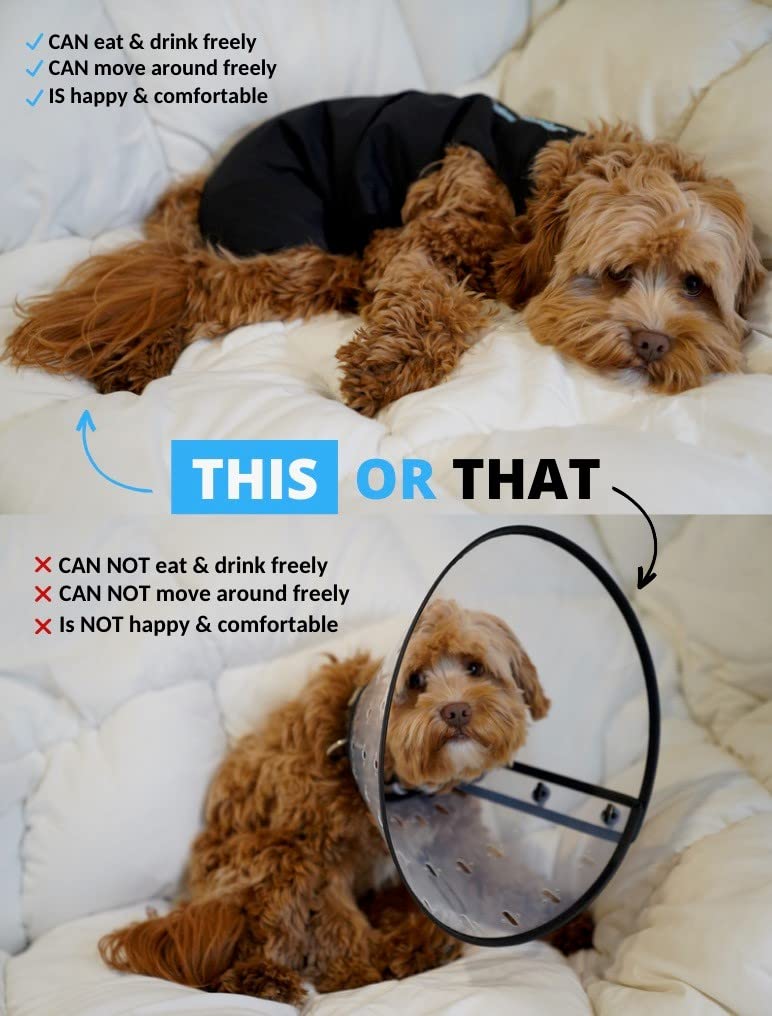 Shed Defender Recovery Suit for Dogs - Seen on Shark Tank, Post-Surgery Dog Onesie, Vet Approved, Anxiety Shirt, E-Collar Alternative, Calming Vest Jacket, Covers Hot Spots & Abdominal Wound, Bodysuit L (41 - 60 lbs) Heather Grey - PawsPlanet Australia