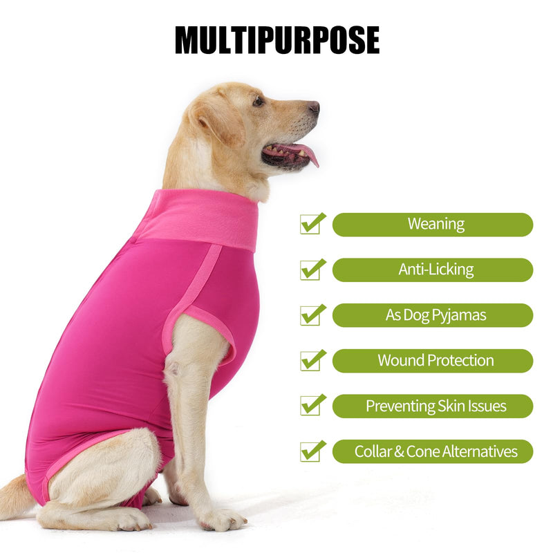 HEYWEAN Dog Recovery Suit - Female Spay Post Op Suit for Dogs After Surgery M Rose