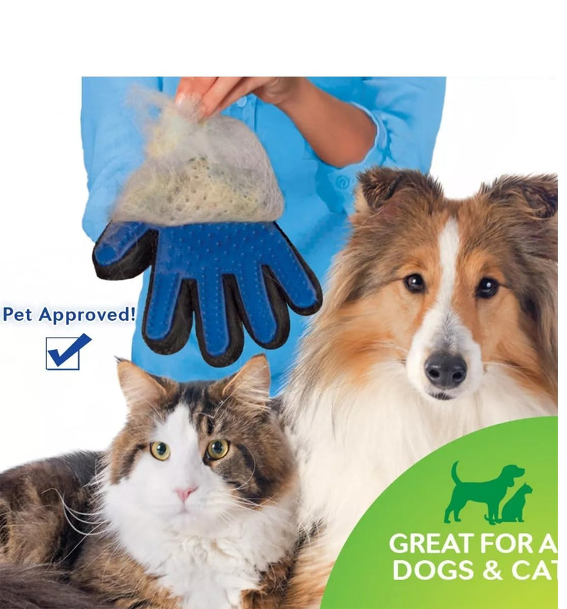 Dog Grooming Gloves for Cats and Dogs, Soft Rubber Pet Grooming Gloves with Comfortable Handle for Cleaning Dirty Paws, Dirty Dog Brushing Gloves for Cats and Dogs, 1 Pair Blue - PawsPlanet Australia
