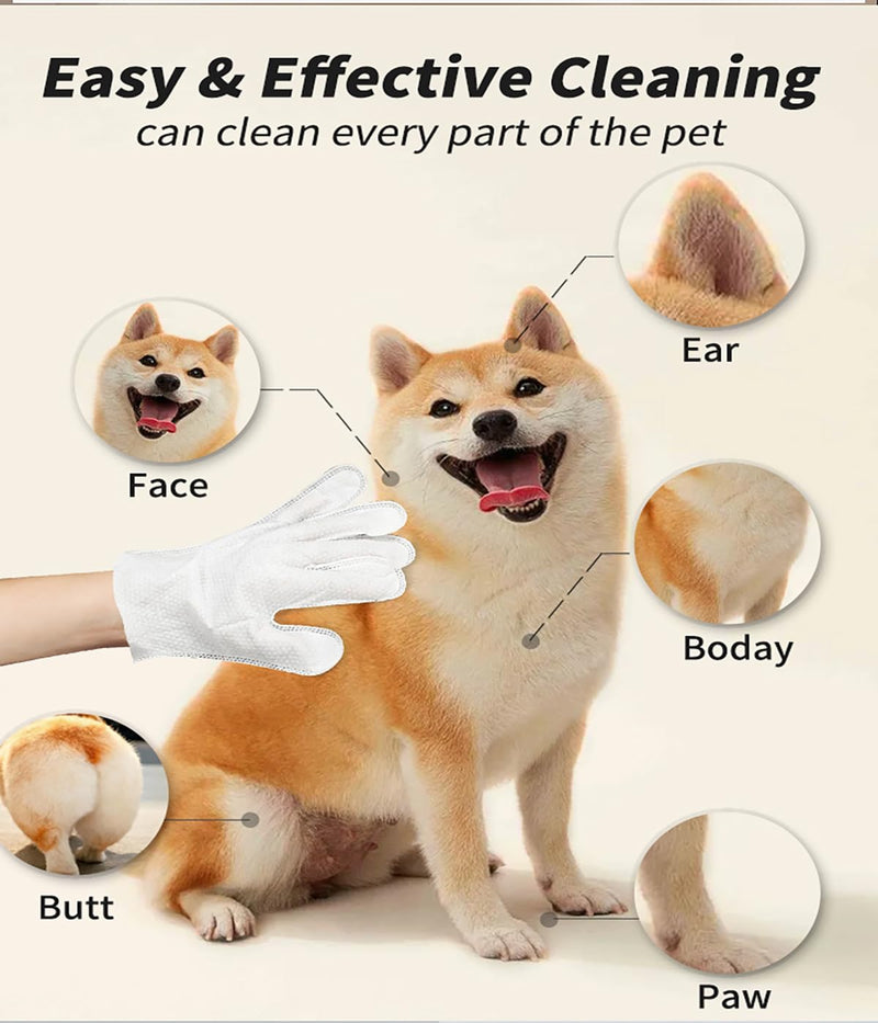 AQUASAFE Pet Bath & Cleaning Gloves for Allergy Prevention & Deodorizing | Thick, Moisturizing Wipes with Aloe & Vitamin E | No Rinse Needed for Daily Care, Travel, Grooming (6PCS) 6PCS - PawsPlanet Australia