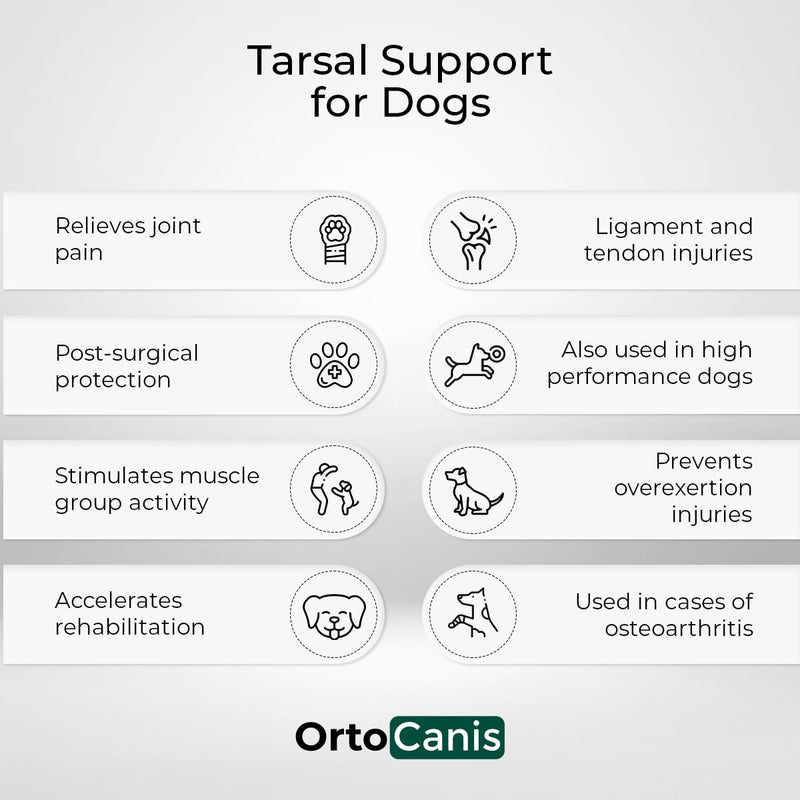 Ortocanis - Tarsal Support for Dog - Ankle Brace for Arthritis, Tarsal and Ligament Injuries, Osteoarthritis, Tendon Inflammations - Made of ARD Neoprene - Size: S 12,5-14 cm - 10.5-12 cm Size S.