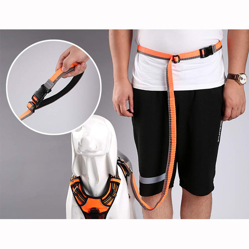 Truelove Bungee Dog Lead Hands Free Leash Adjustable Elastic Shock Absorbing Long Cord TLL2271 (M, Orange) M - PawsPlanet Australia