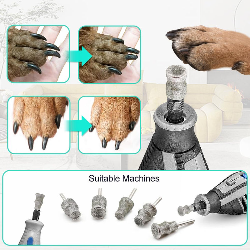 Dog Nail Grinder Bits - 1/8" Animal Diamond Rotary Bit for Dogs and Cats, Pet Nail Grinder Wheel Bits for Home Grooming Tools and Animal Nail Care Type B - PawsPlanet Australia