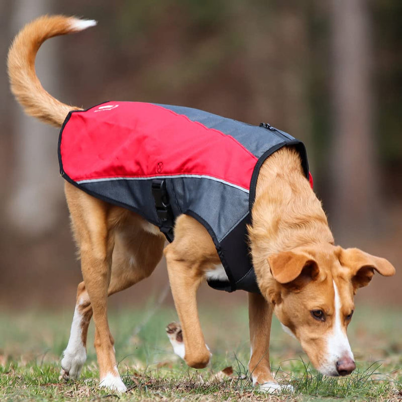 EzyDog Element Best Dog Jacket - Premium Wind and Waterproof Reflective Dog Coat for Safety and Protection - Provides Leash Access to Harness or Collar (Scarlett, Small) Scarlet - PawsPlanet Australia