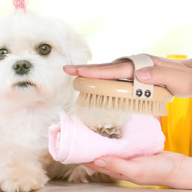 SUPVOX Short Hair Dog Brush - Pets Palm Brush with Bristles,Soft Bristle Pet Brush for Daily Grooming Cats Dogs - PawsPlanet Australia